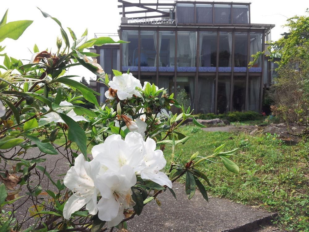 مبيت وإفطار داتونغ Hao Wang Jiao House المظهر الخارجي الصورة